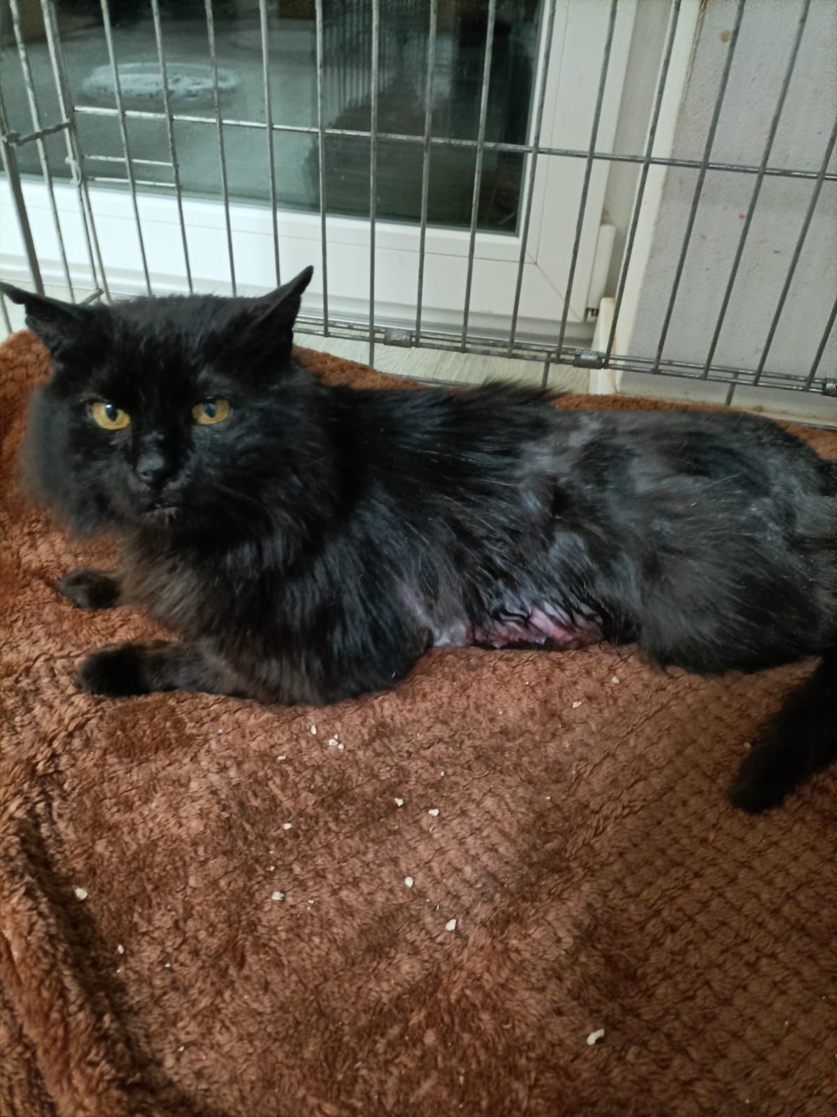 Evana si všimli v pravou chvíli