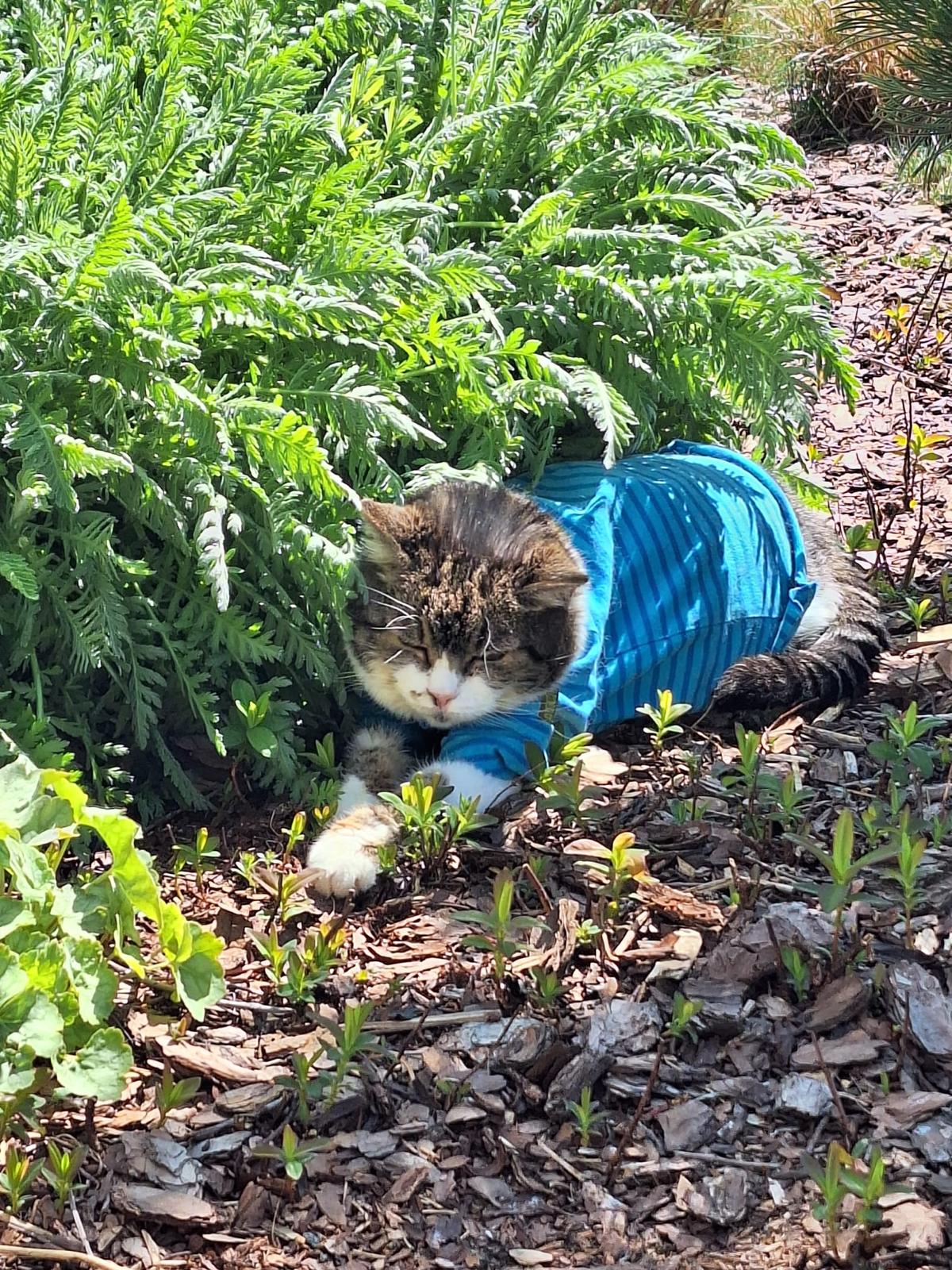 Pro ty, kteří zůstávají