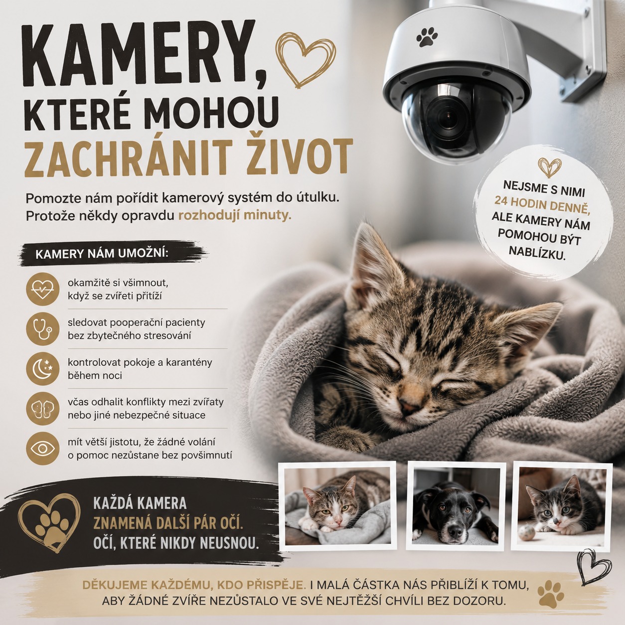 Kamery, které mohou zachránit život do útulku