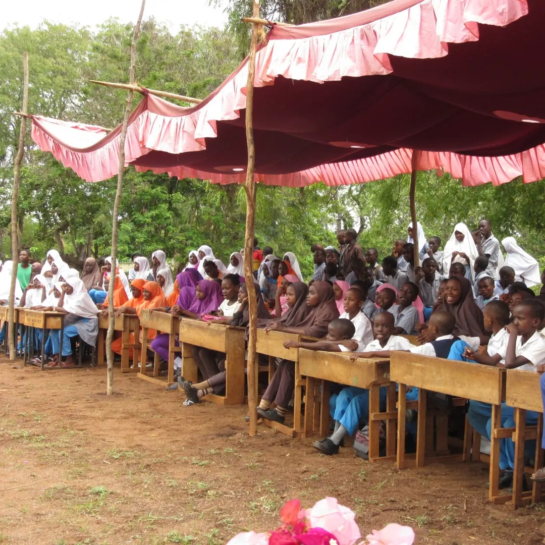 206 dárců pro jistotu 206 dětí z Kwale School