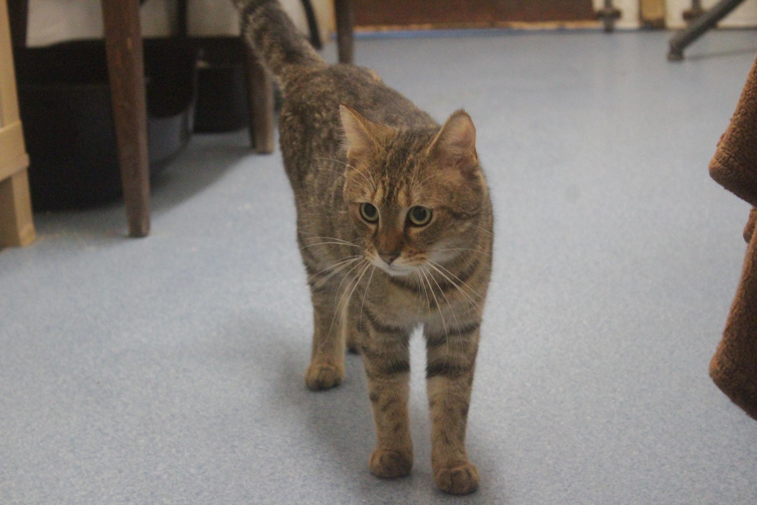 Barny a jeho boj o život