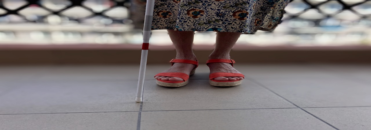 Procházky pro nevidomé v Ústeckém kraji