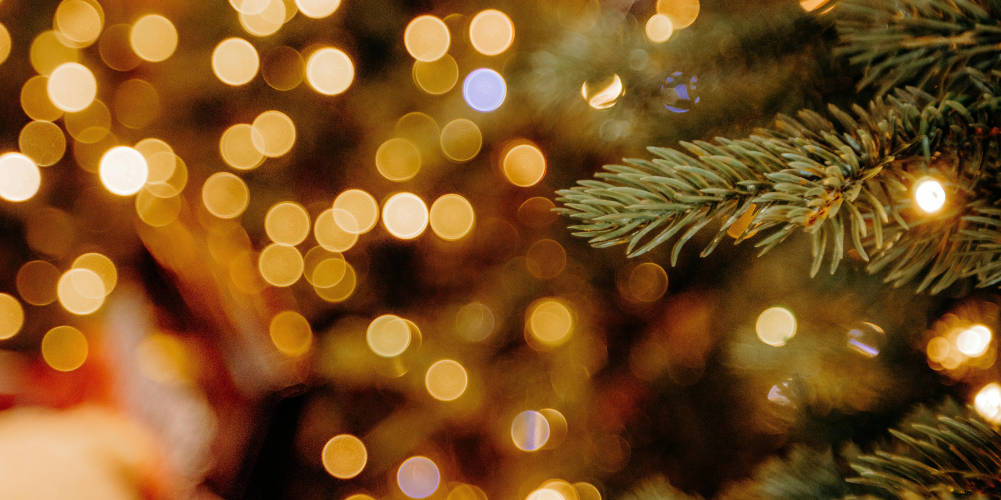 Pravidelní dárci mění životy