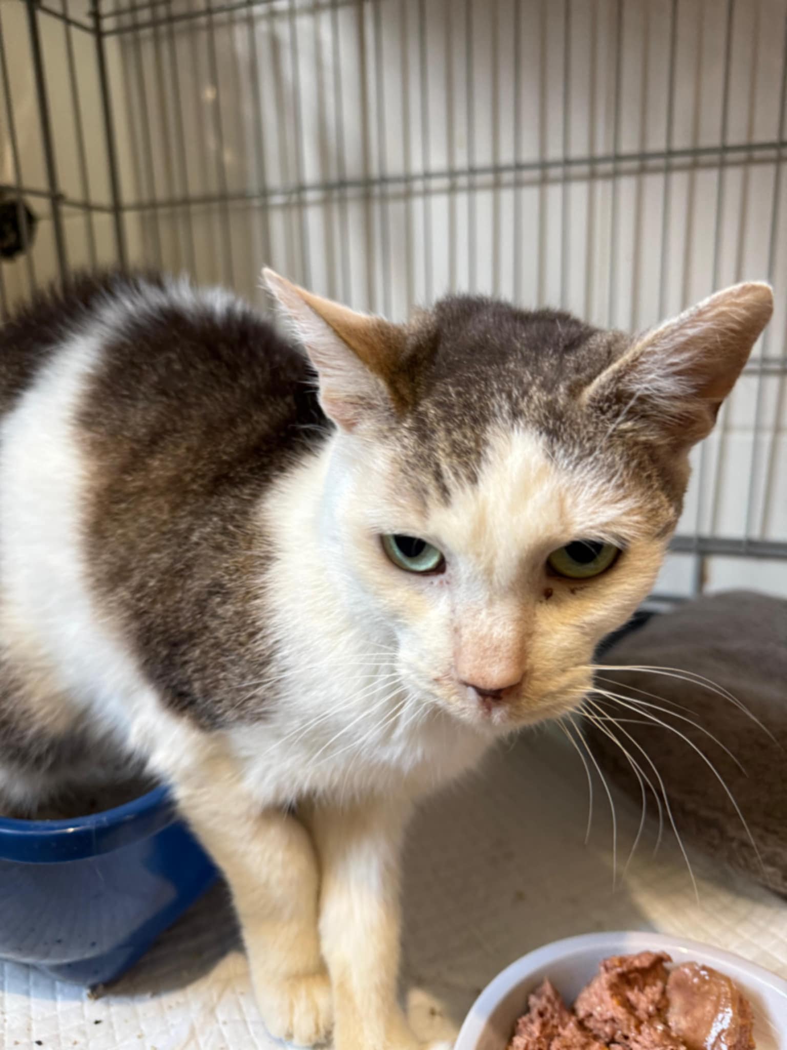 Five poor souls need your help again