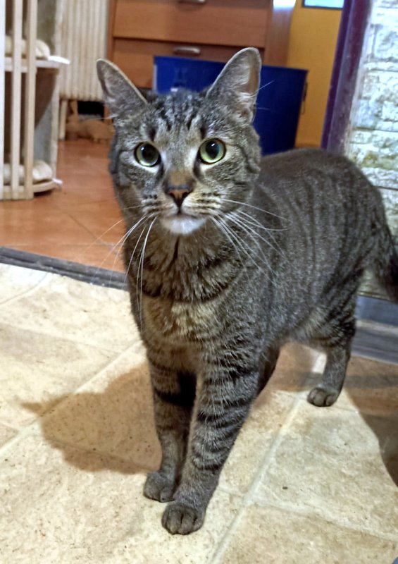 Ať Domov Kulíšek nezhasne