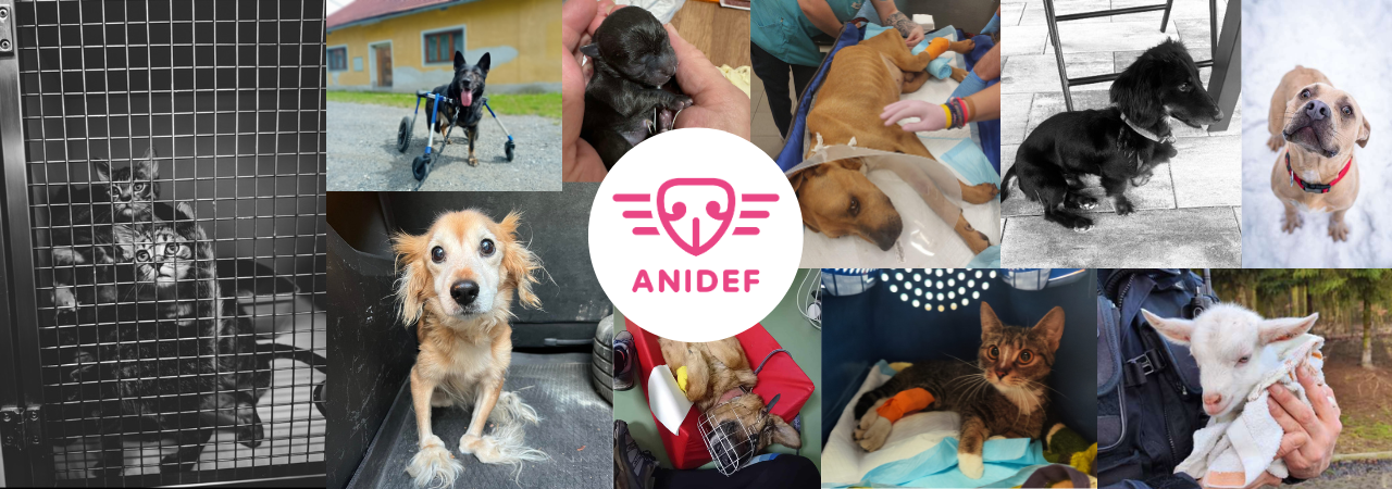 Zachraňujte s námi i zítra