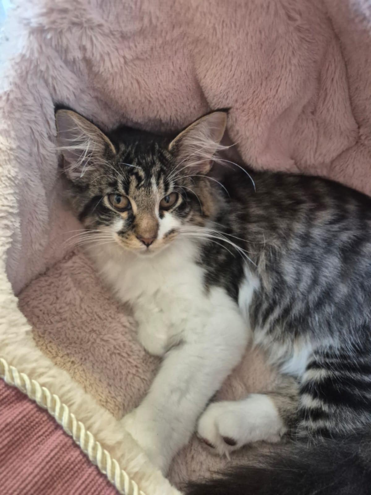 Malá Agnes potřebuje vaši pomoc