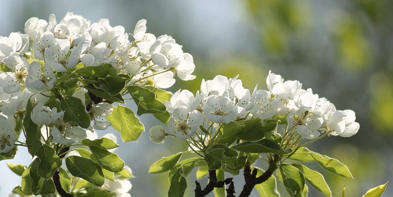 Pro pestrou krajinu a pestré společenství lidí
