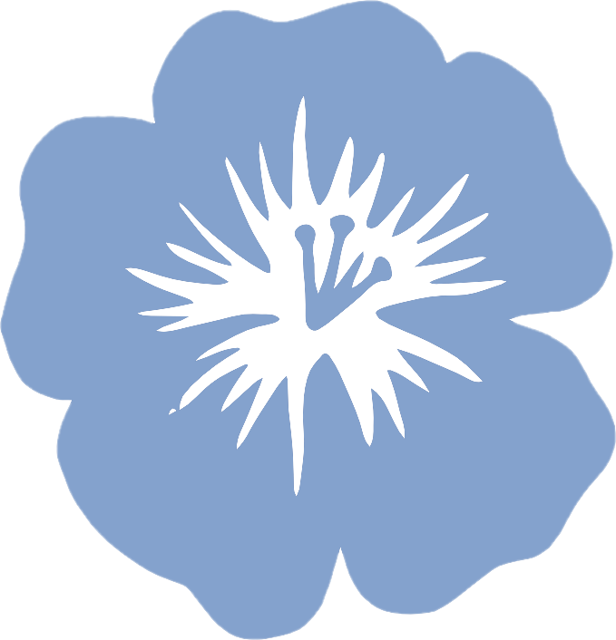 PĚSTUJ LEN - program obnovy pěstování a zpracování přadného lnu