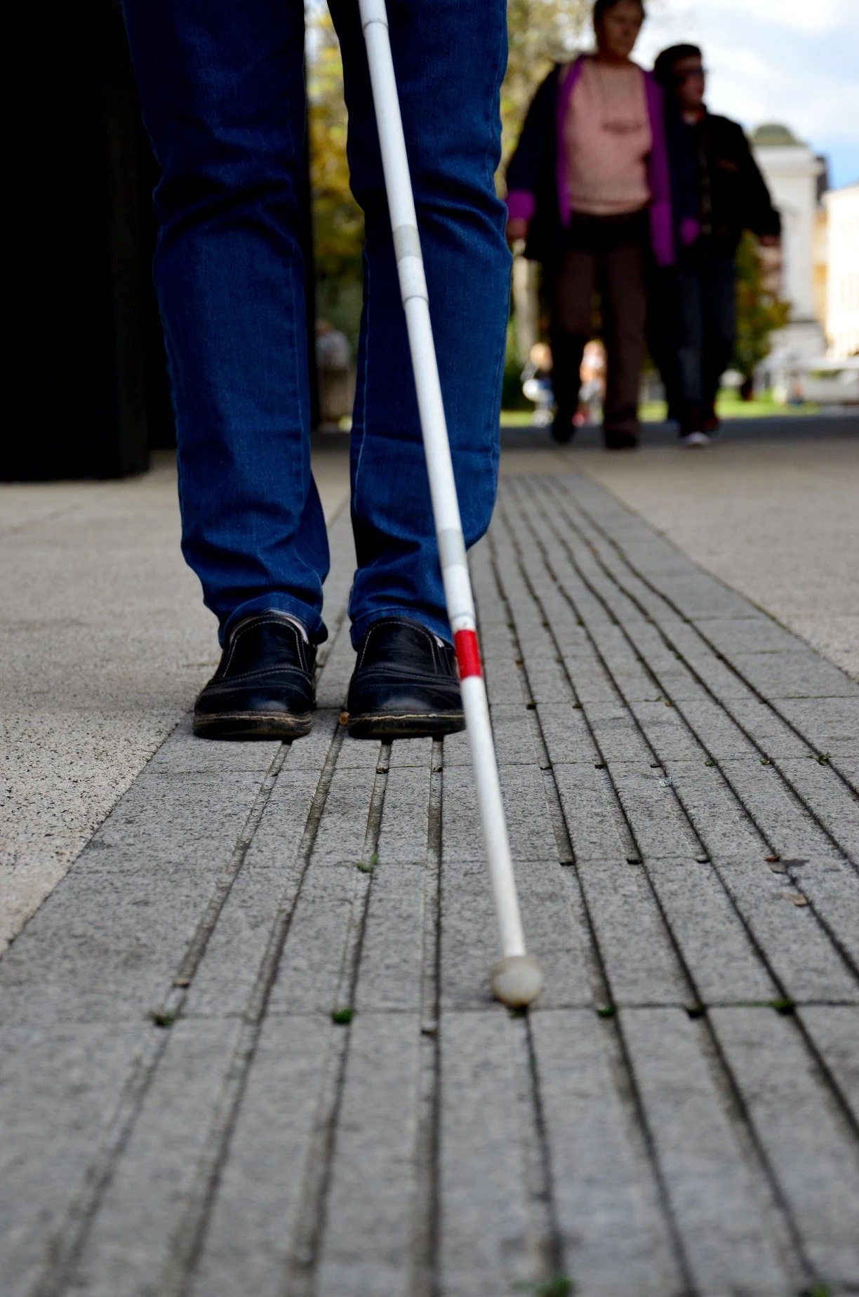Podpora zaměstnanců TyfloCentra Ústí nad Labem, o.p.s.