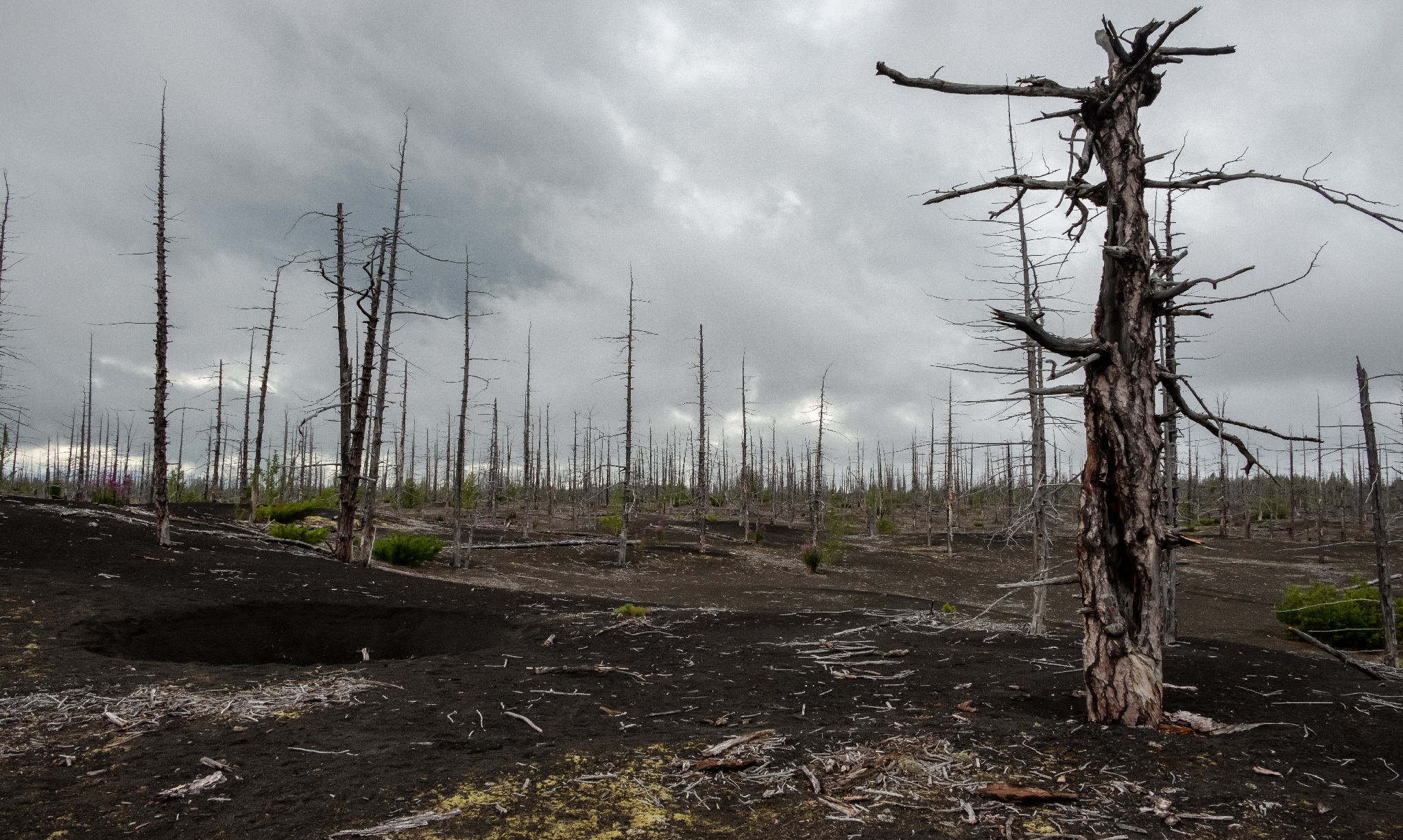Zachraňme Ministerstvo životního prostředí