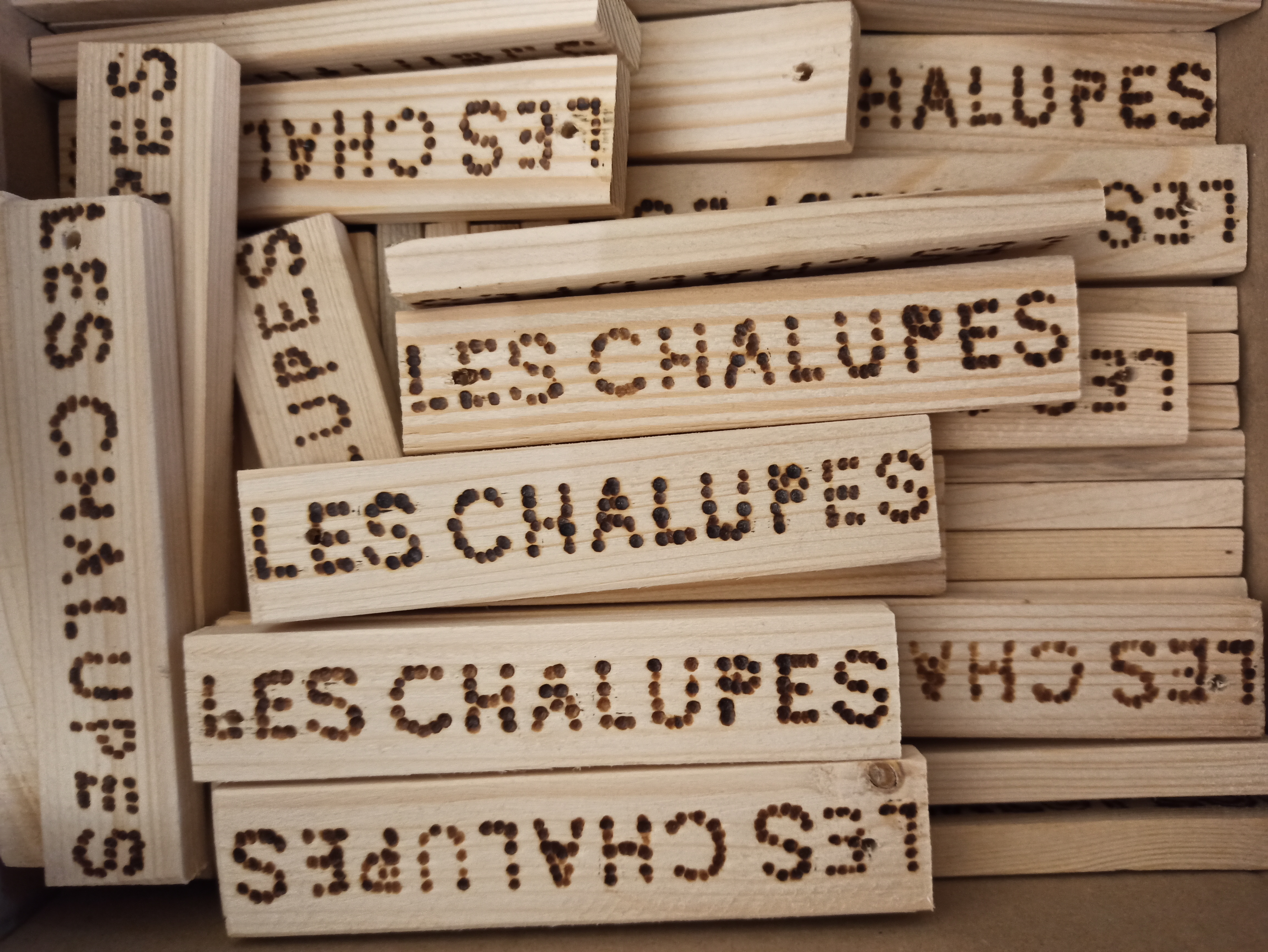 Podpora činnosti organizace LES CHALUPES, z.ú.