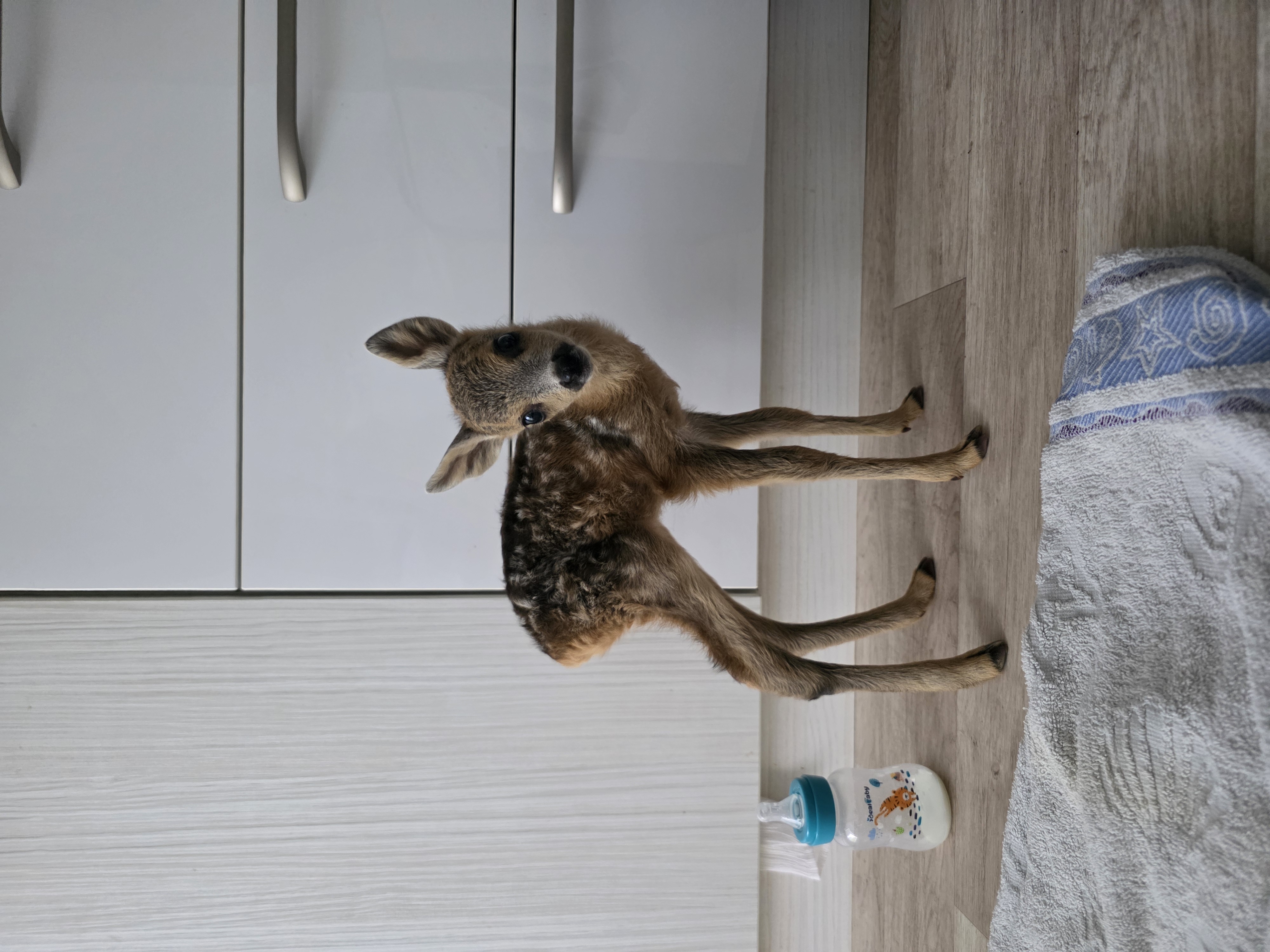 Pomozte prosím těm, kteří si o pomoc říct nemohou