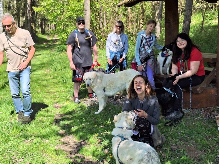 Podpořte pejsky v nouzi finančním dárečkem pod stromeček.