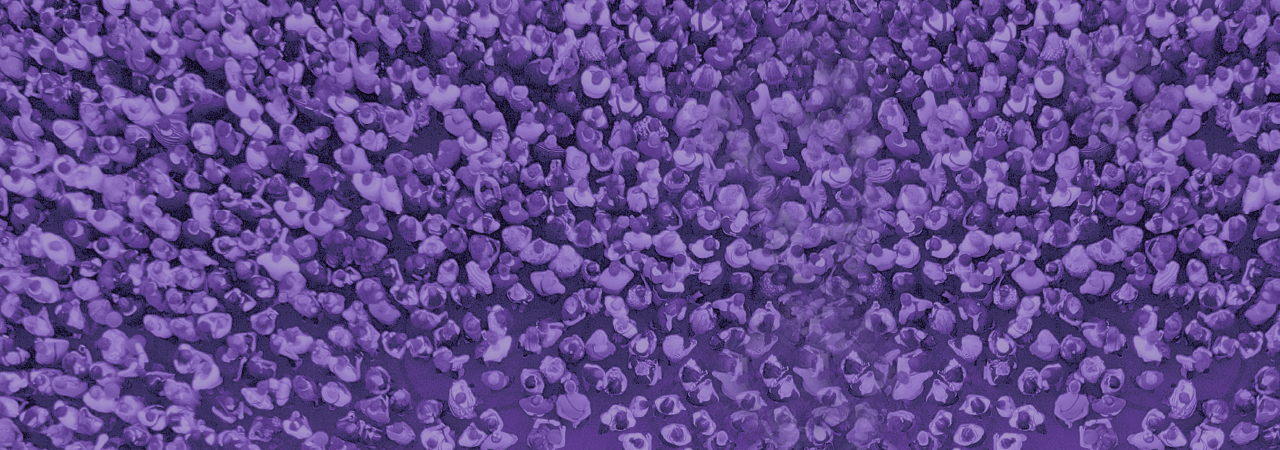 Pomozte nám zvednout každý telefon.