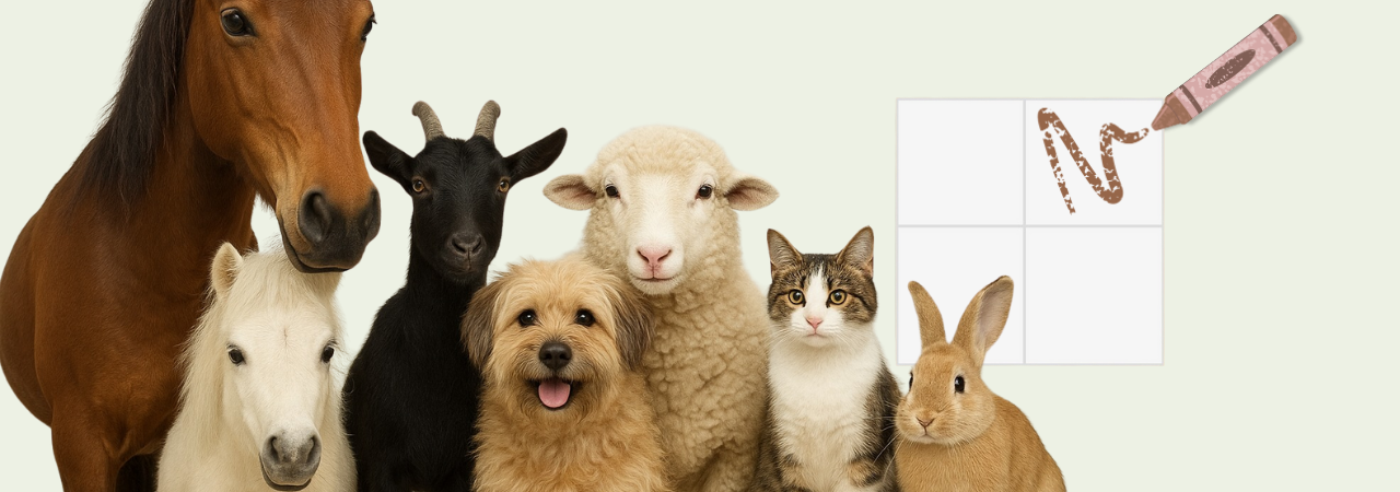 K mým pět a třicátým narozeninám 35m💕² lásky pro zvířata v nouzi (se soutěží o věcné ceny)