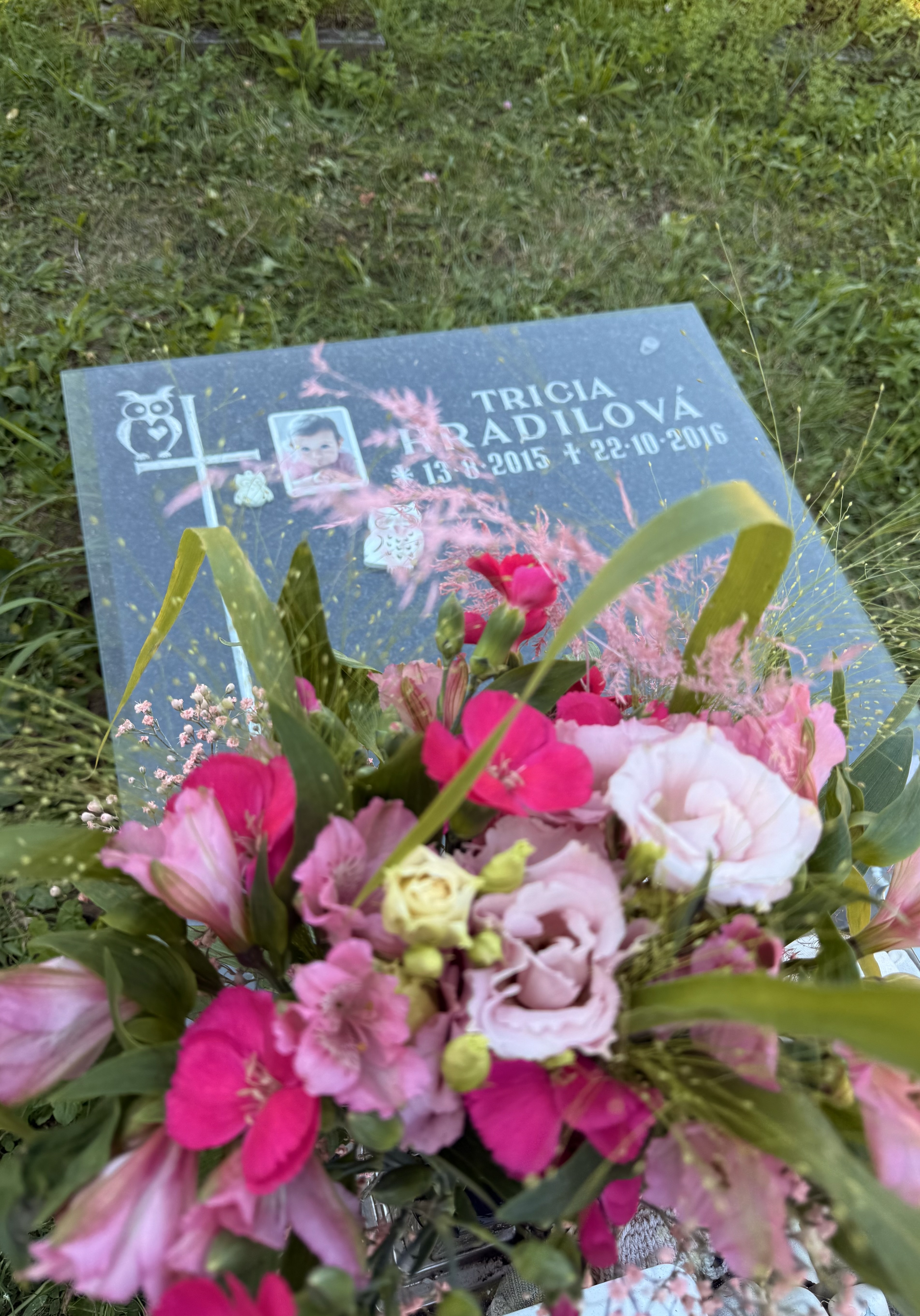 Triščiny kulatiny🖤