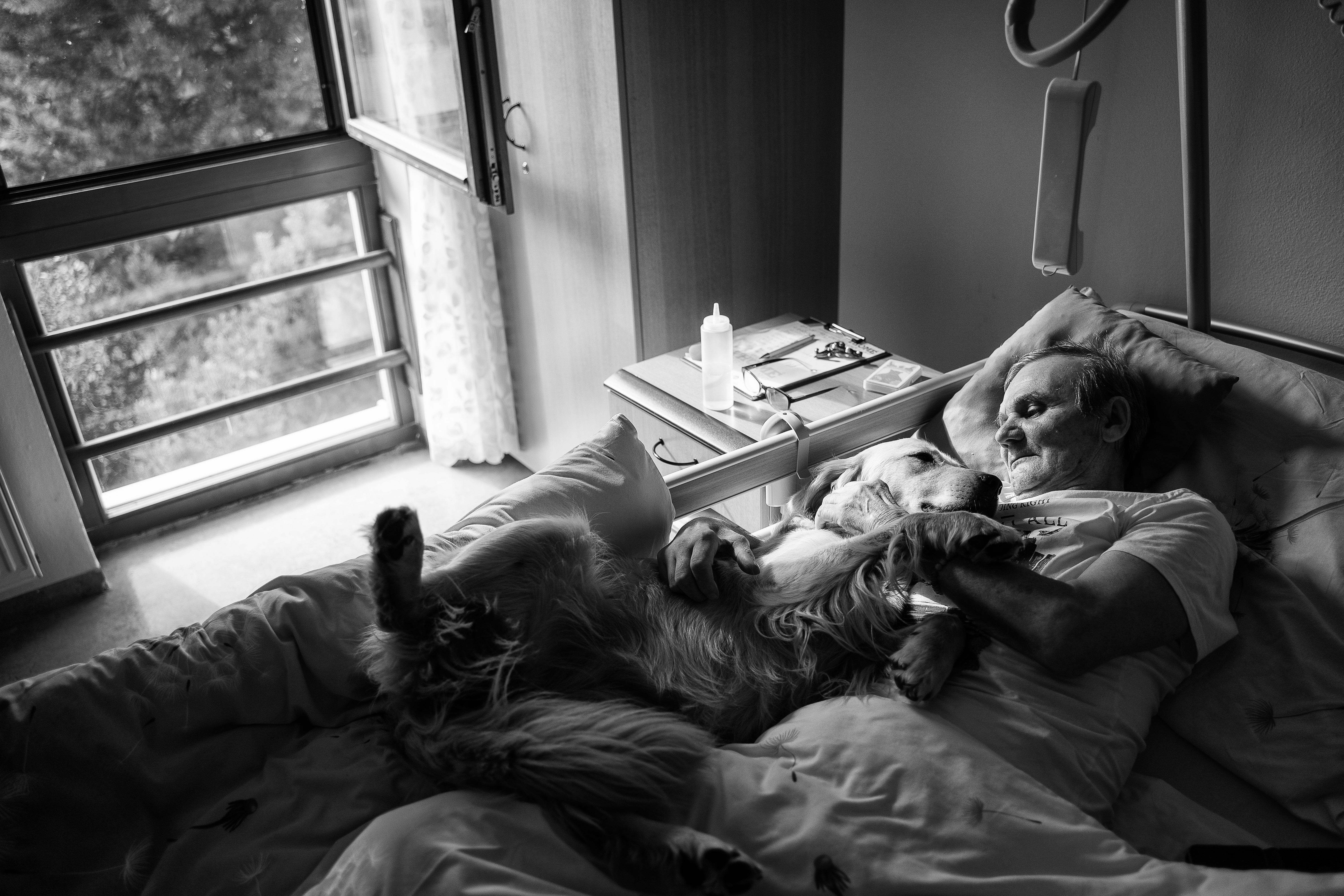 Fotky, které pomáhají