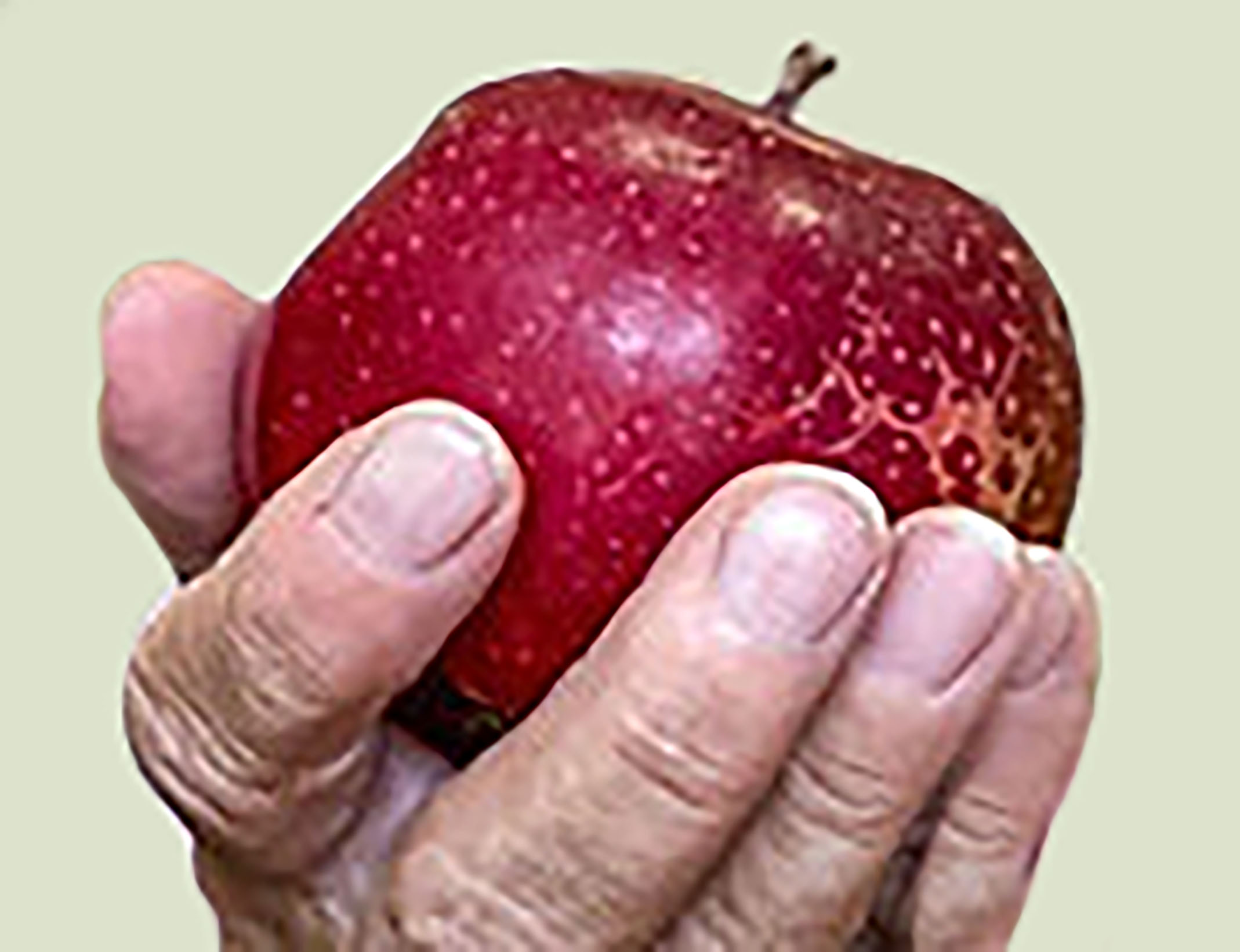 Uměním darujeme ovoce