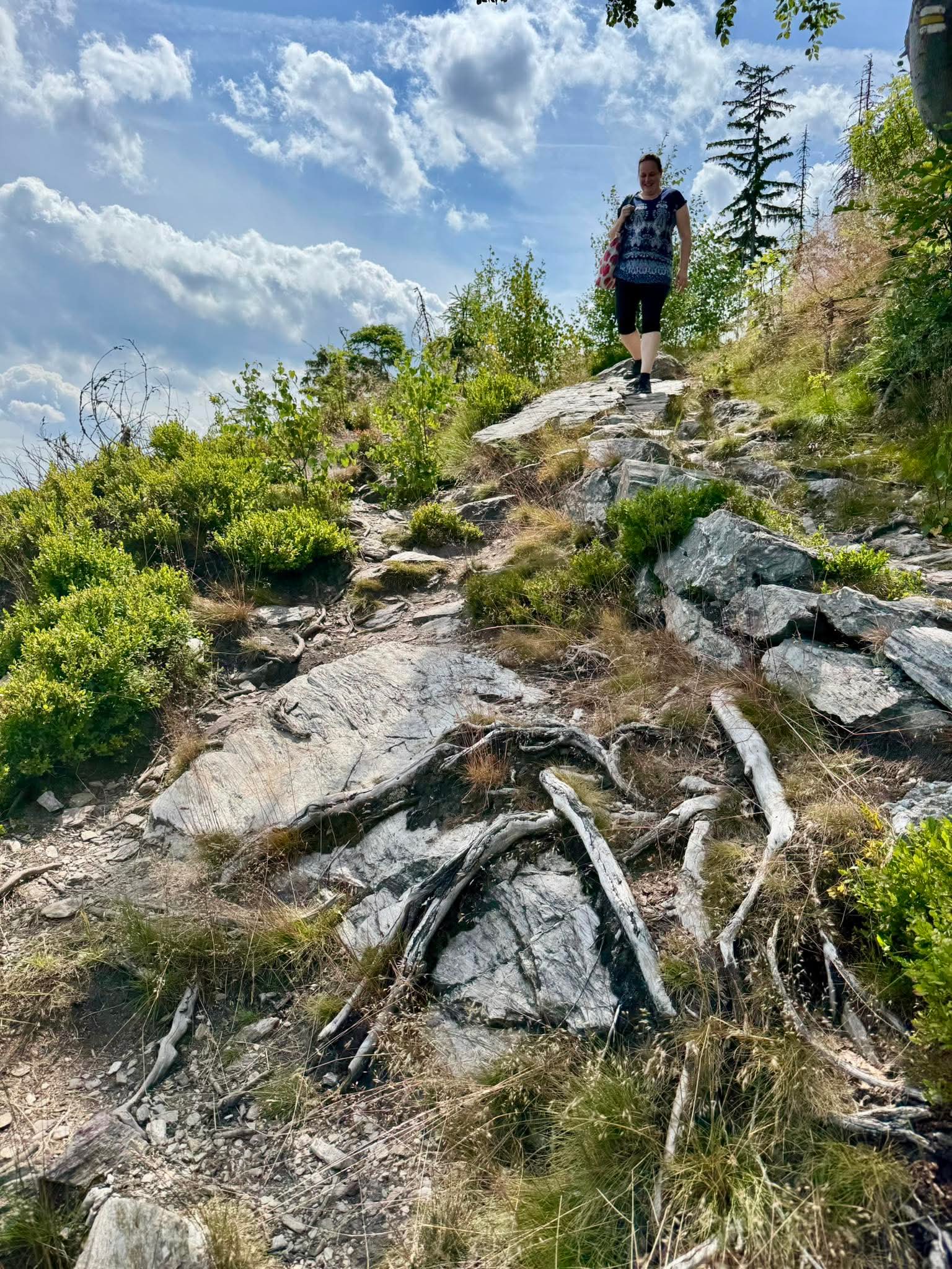 200 000 kroků ke spravedlivější společnosti