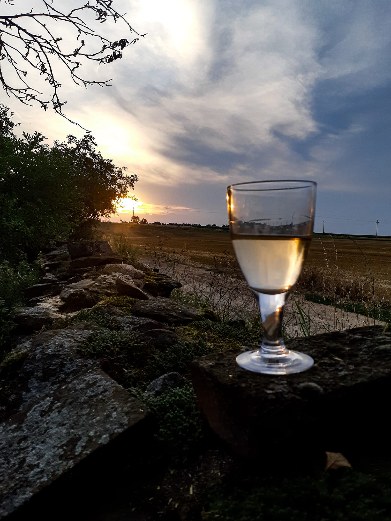 Dejte si se mnou narozeninovou sklenku II.