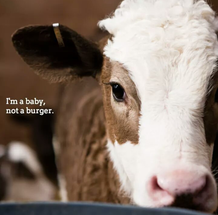 Život bez krutosti: Daruj dvacku♥️