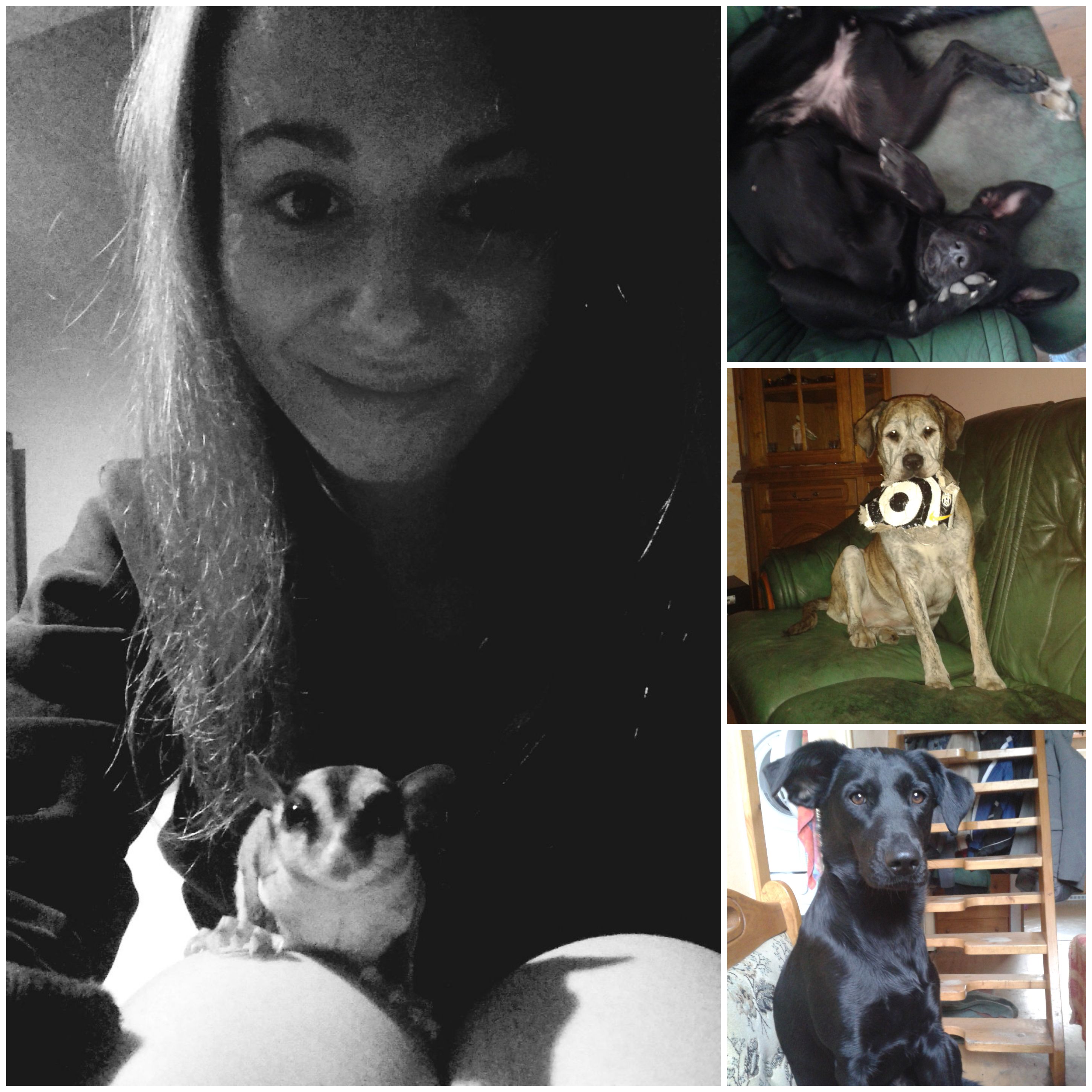 Pomáhej pro svůj dobrý pocit a proto, že sám chceš!