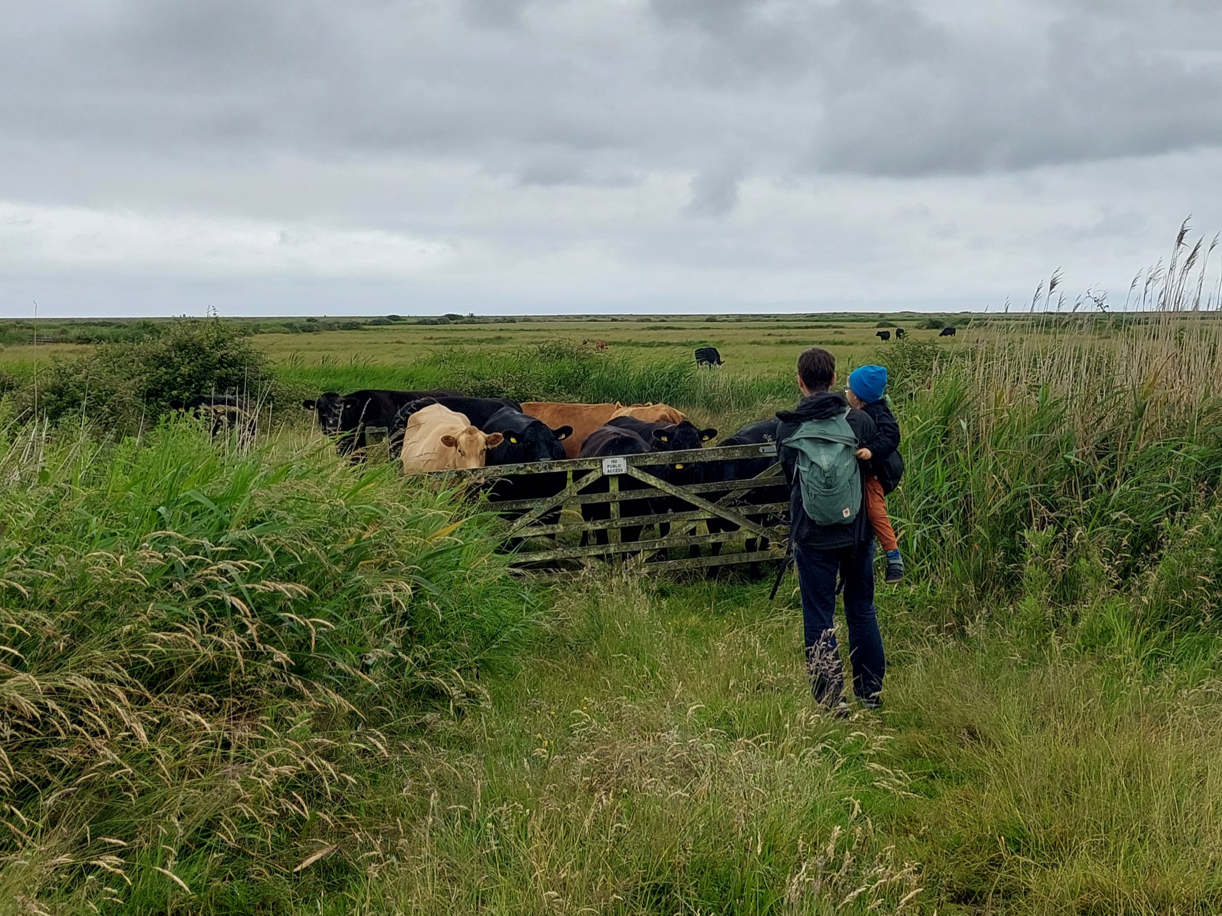 Matoušovi (a kuřatům) k narozeninám