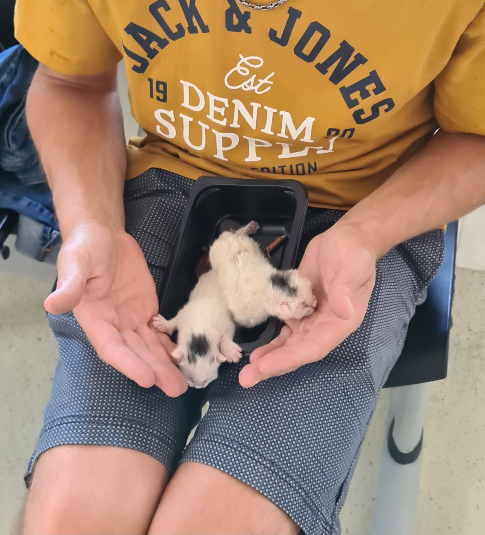 Kastrací pro kvalitnější život