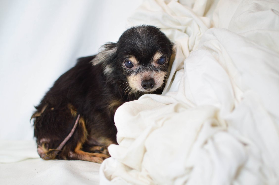 Pomoc můžeš i ty ... Nechci být - BEZDOMOVA