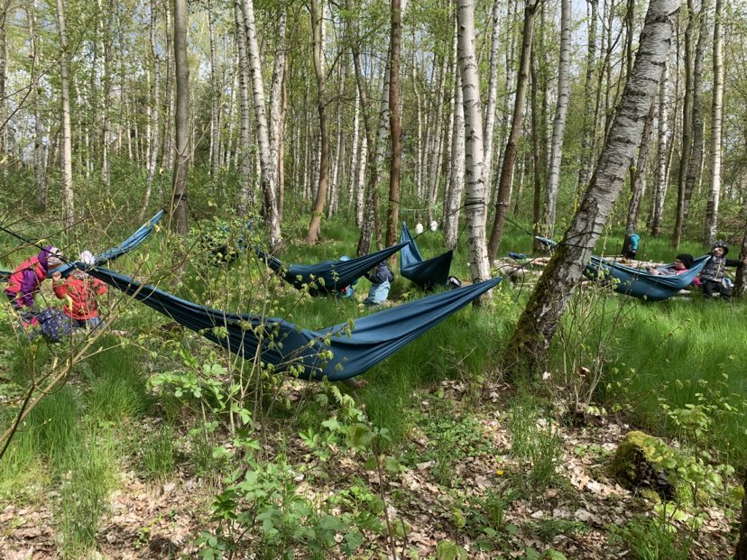 Staňte se patrony dětského spánku v lesní MŠ