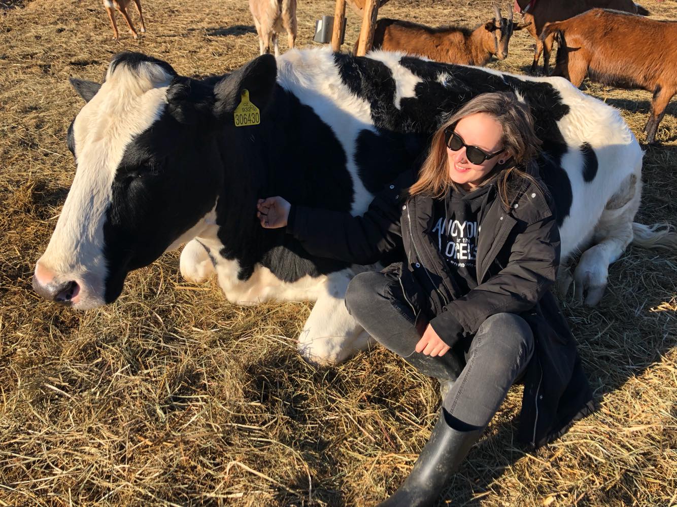 Narozeninová sbírka pro osvobozená zvířata