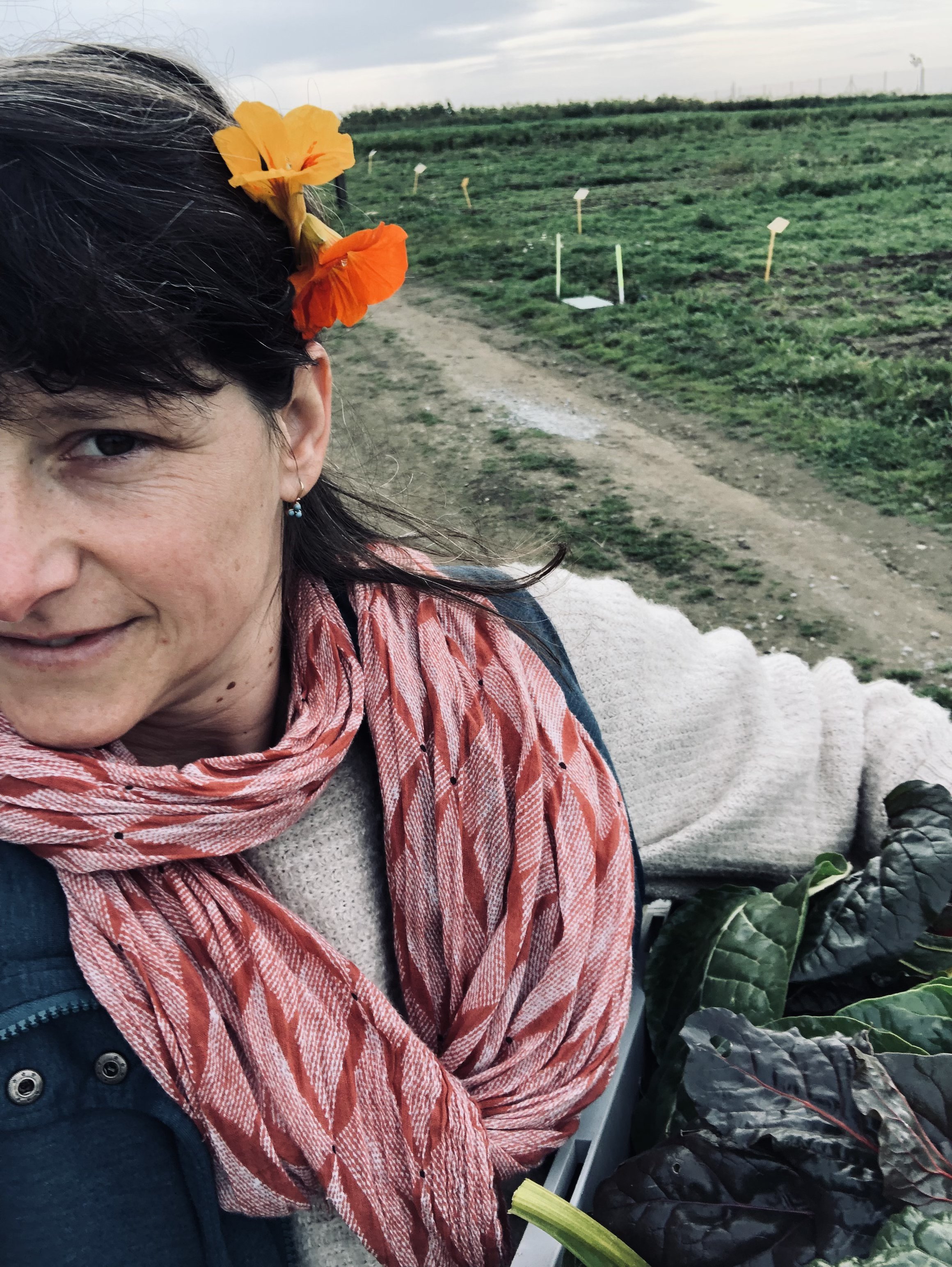 40! Narozeninová výzva pro KPZkoALICI