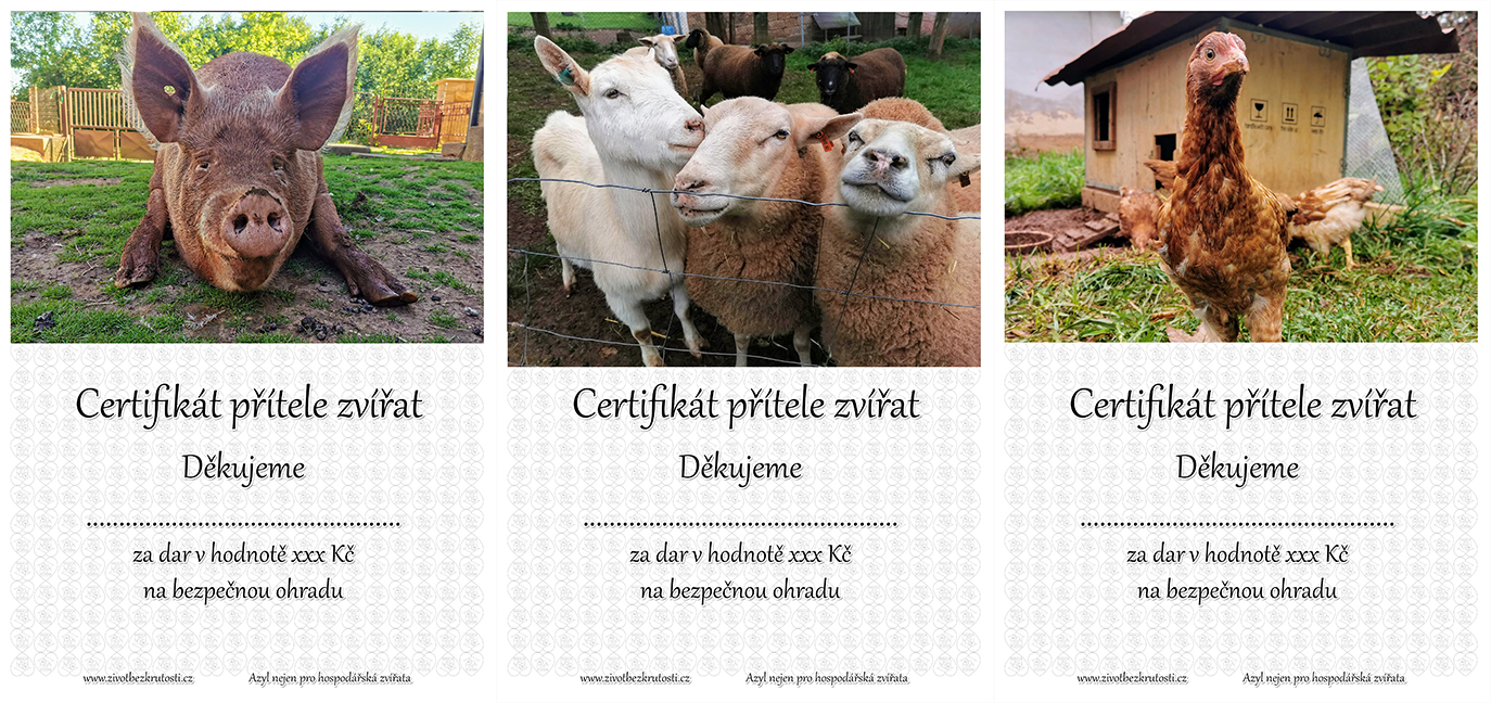 DÁRKOVÉ POUKAZY PŘÍTELE ZVÍŘAT -  BEZPEČÍ PRO ZVÍŘATA