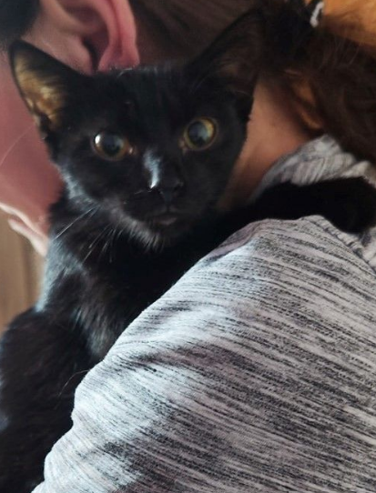 K narozeninám si přeji zachránit jeden život