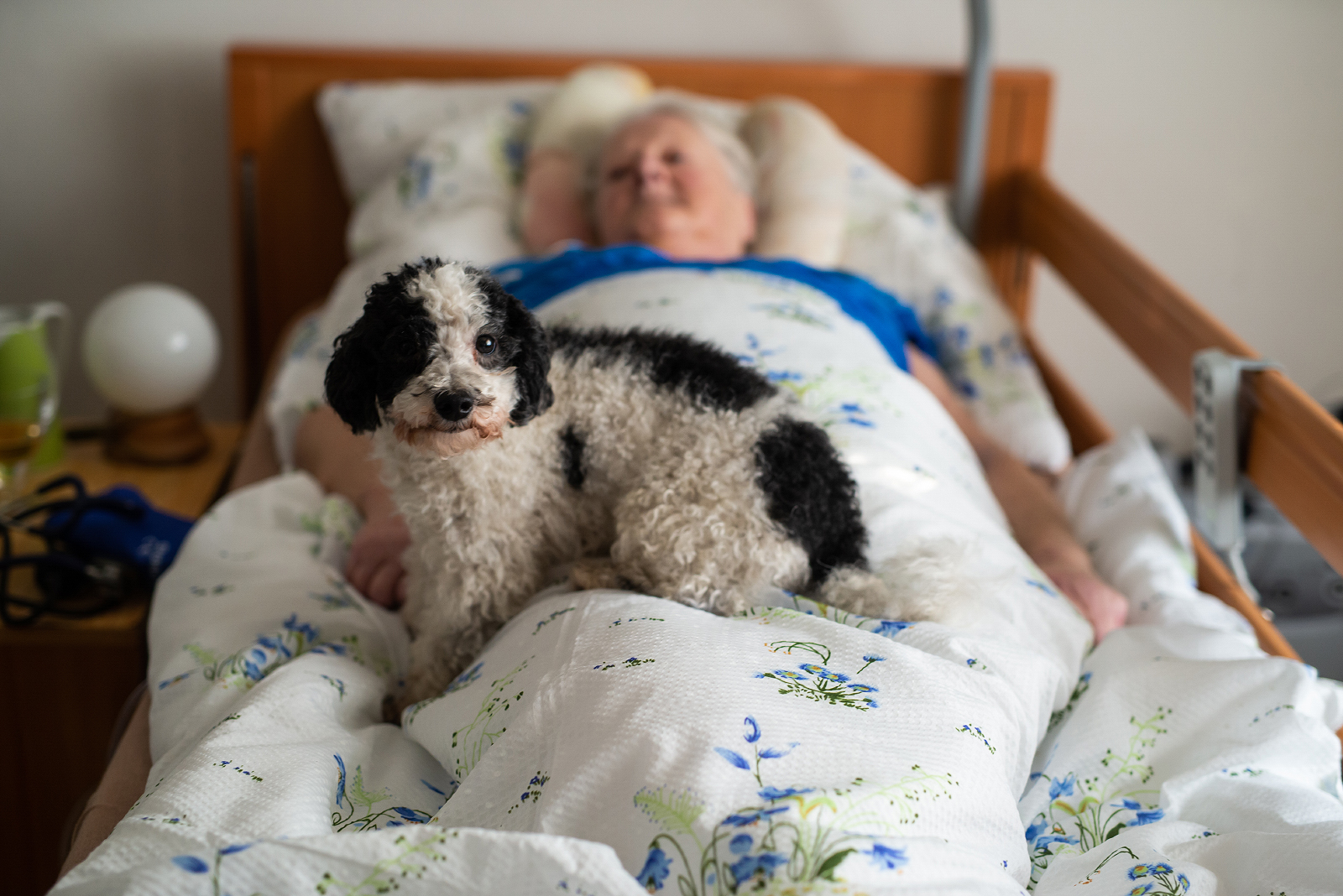 Papučový den - Odměna za péči doma