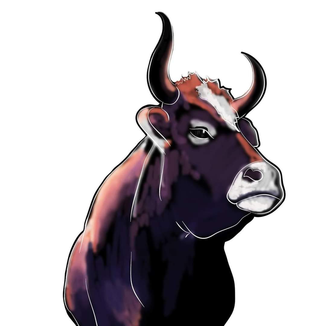 Seno pro farmu Jarikhanda ❤️