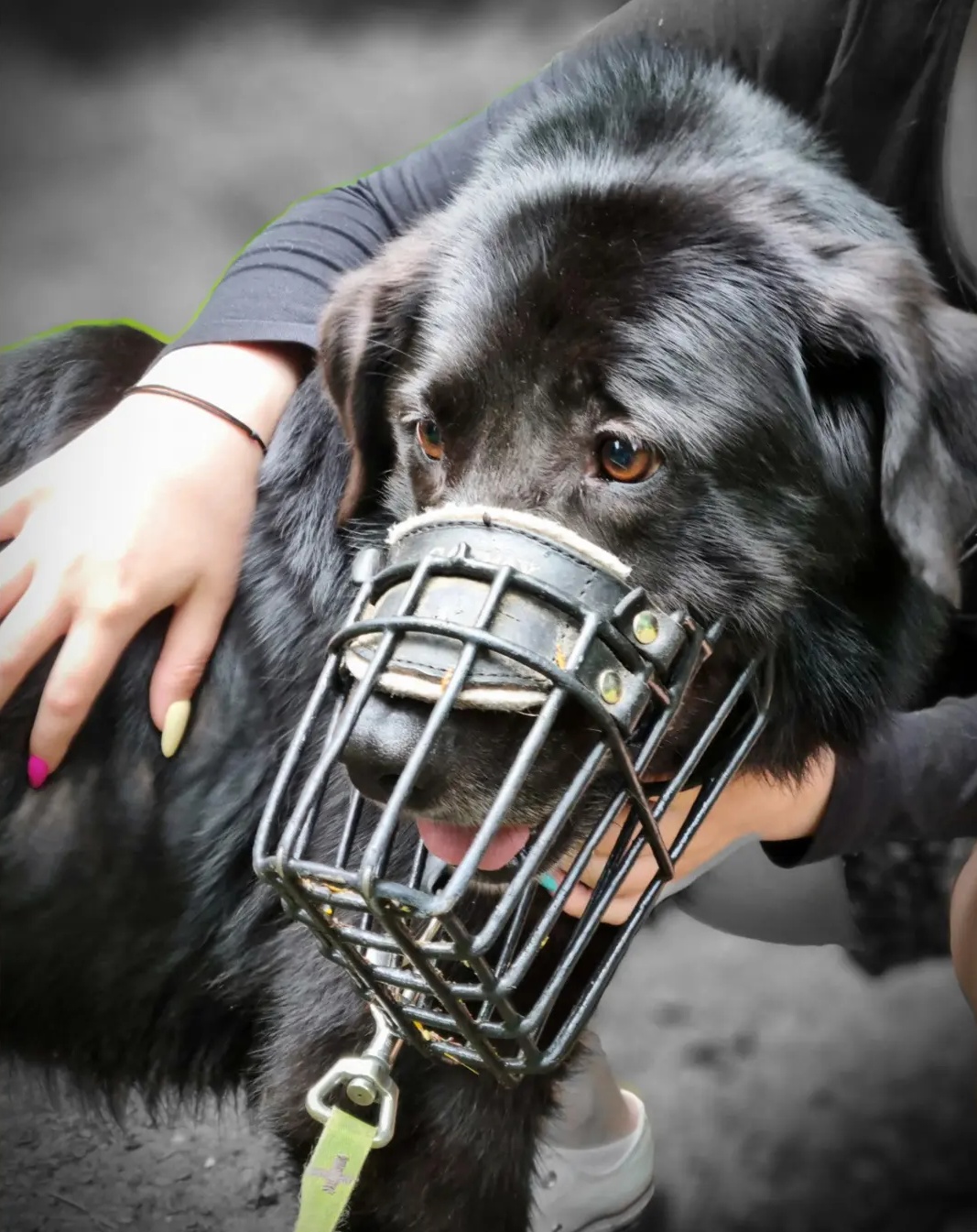 Plné misky k narozeninám