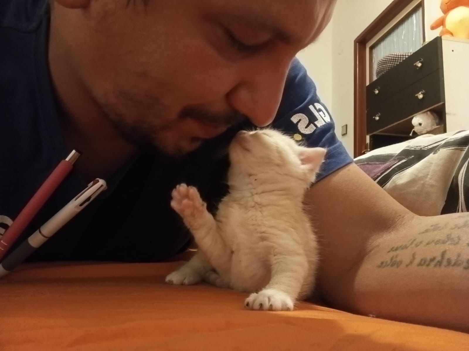 Bumblebee- pomoc malému kocourkovi