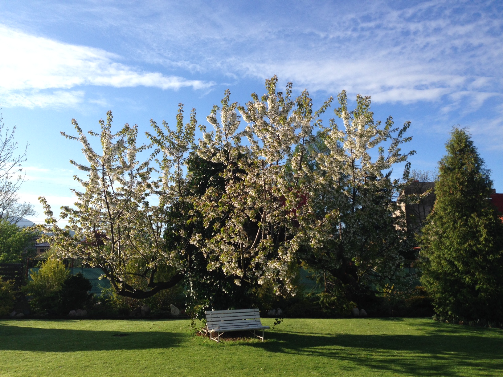 Pro rodiče a jejich děti