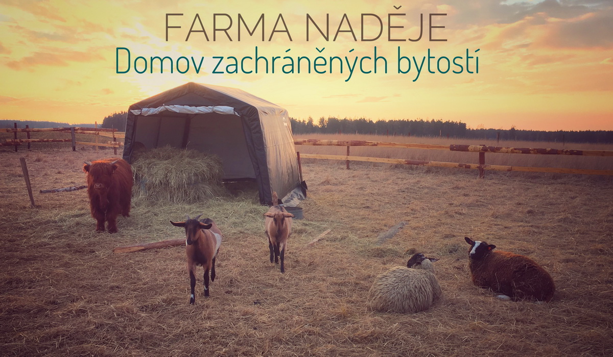 Dobročin #1: narozeninová sbírka pro Farmu Naděje!