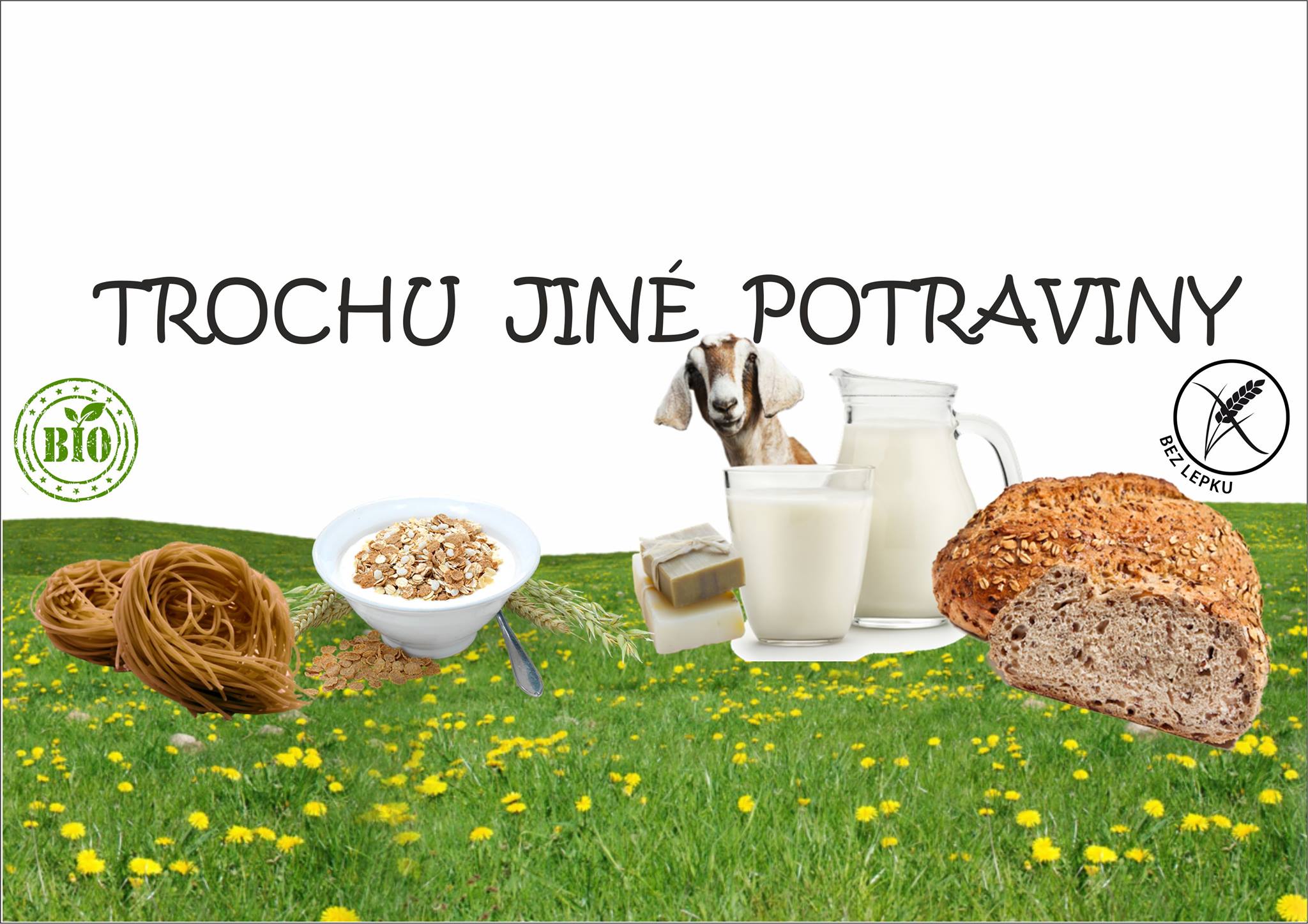 TROCHU JINÉ POTRAVINY jdou pro Hospic sv. Štěpána