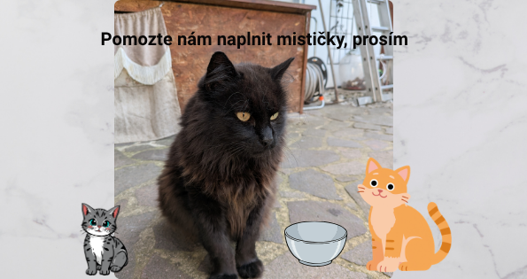 Pomozte nám naplnit kočičí mističky 🐾
