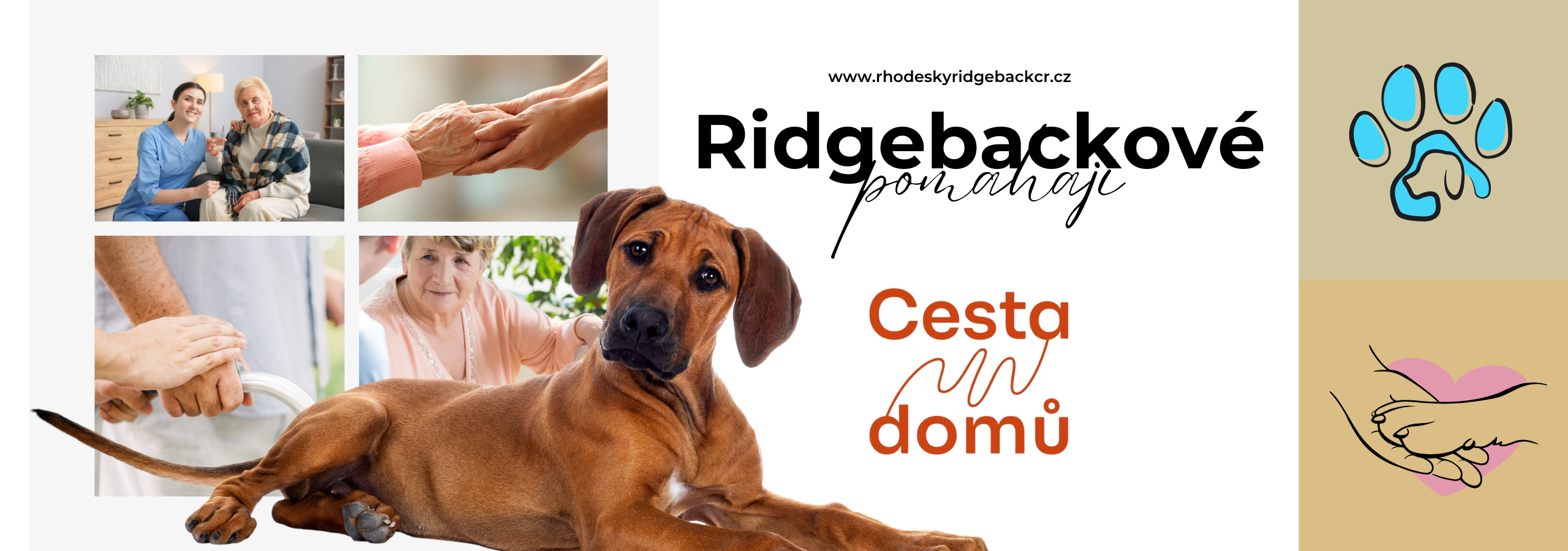 Ridgebackové pomáhají ve své akci "DEN ZA 50"