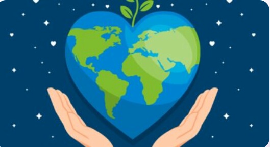 Sluníčka ☀️🌞☀️