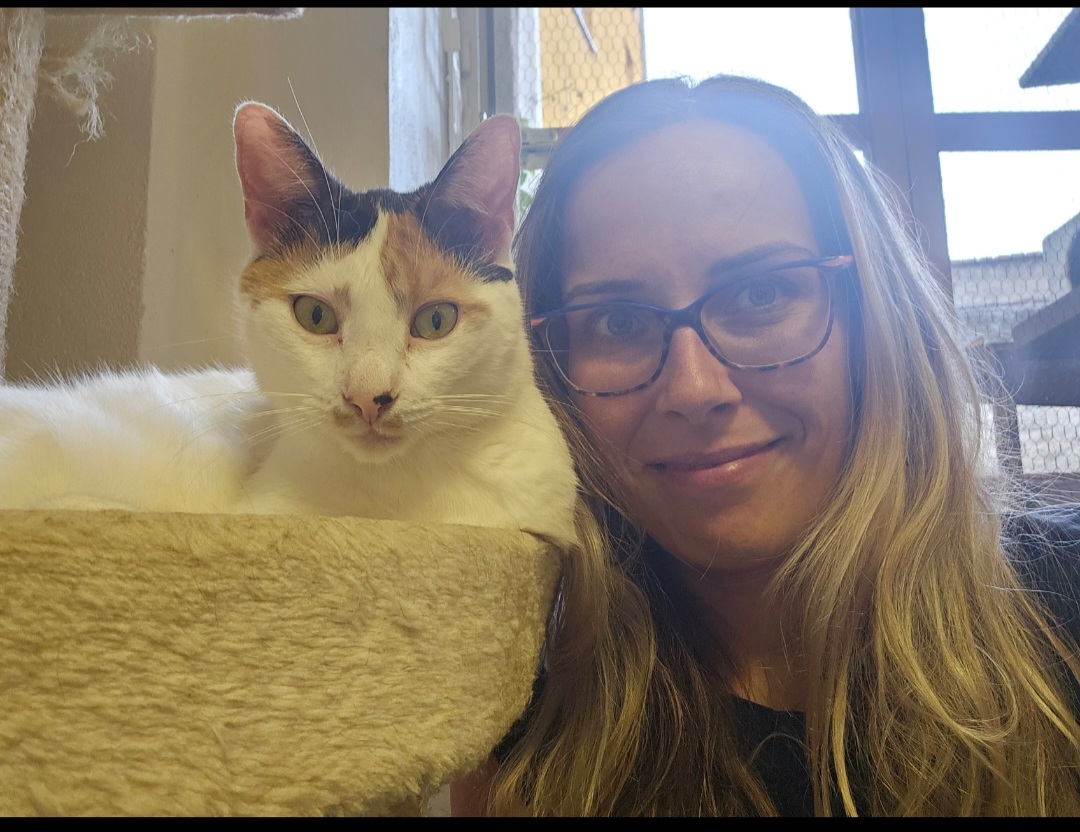 Pomozte mi stát se odborníkem na odchyt toulavých zvířat – pro kočky, které to nejvíce potřebují