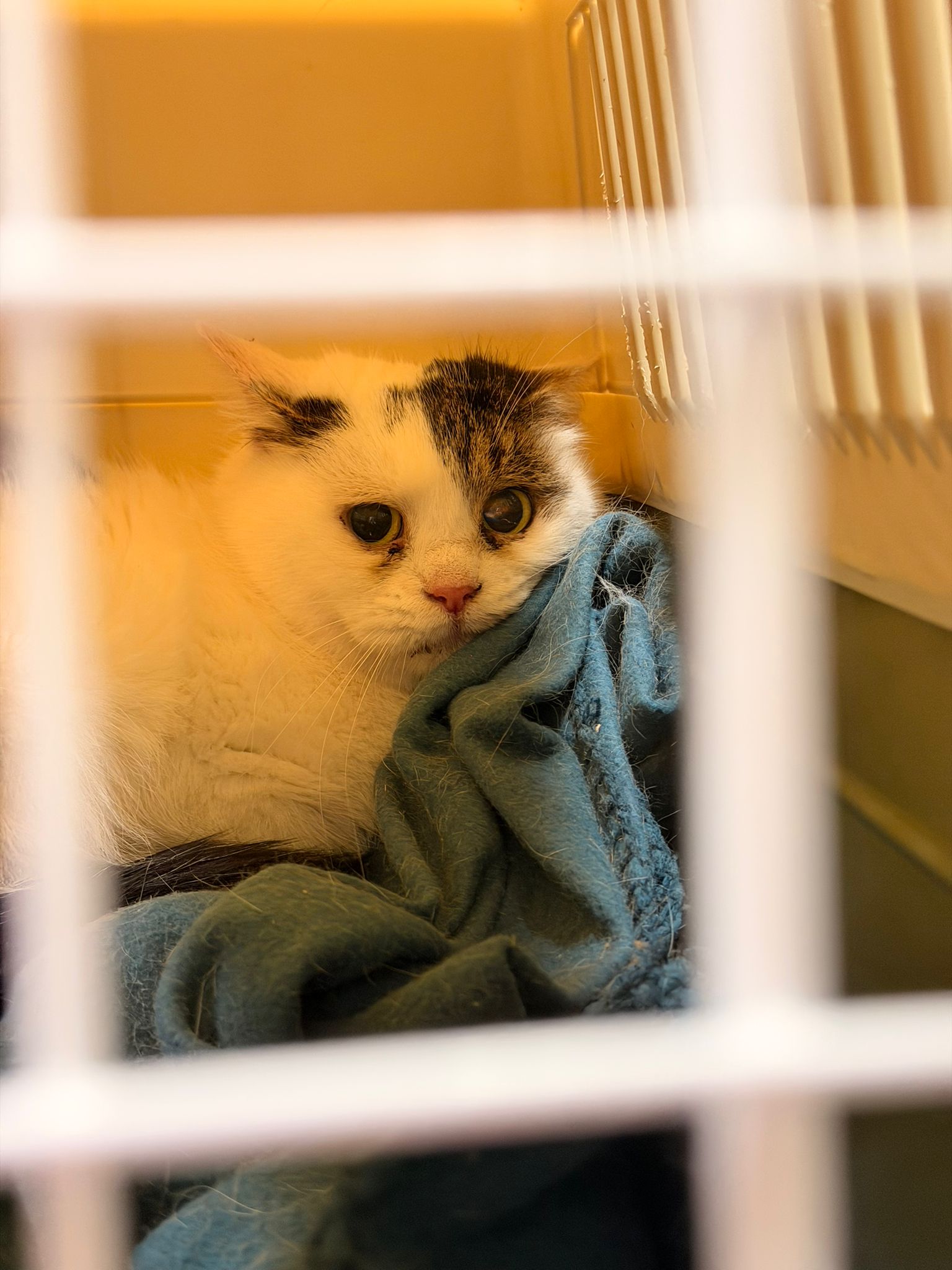 Naděje pro ty, kteří ztratili všechno