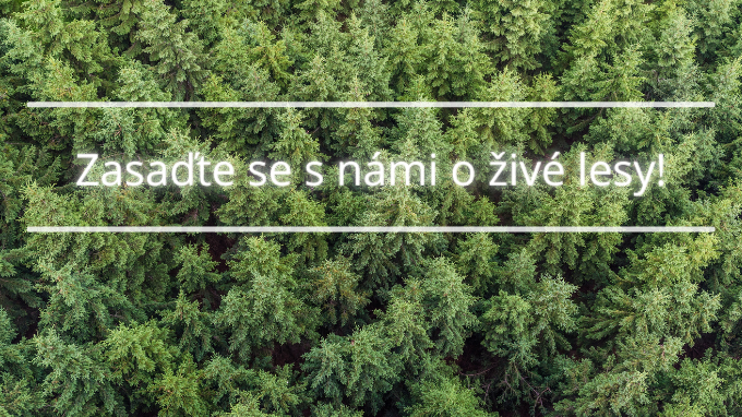 Zasaďte se s námi o živé lesy!