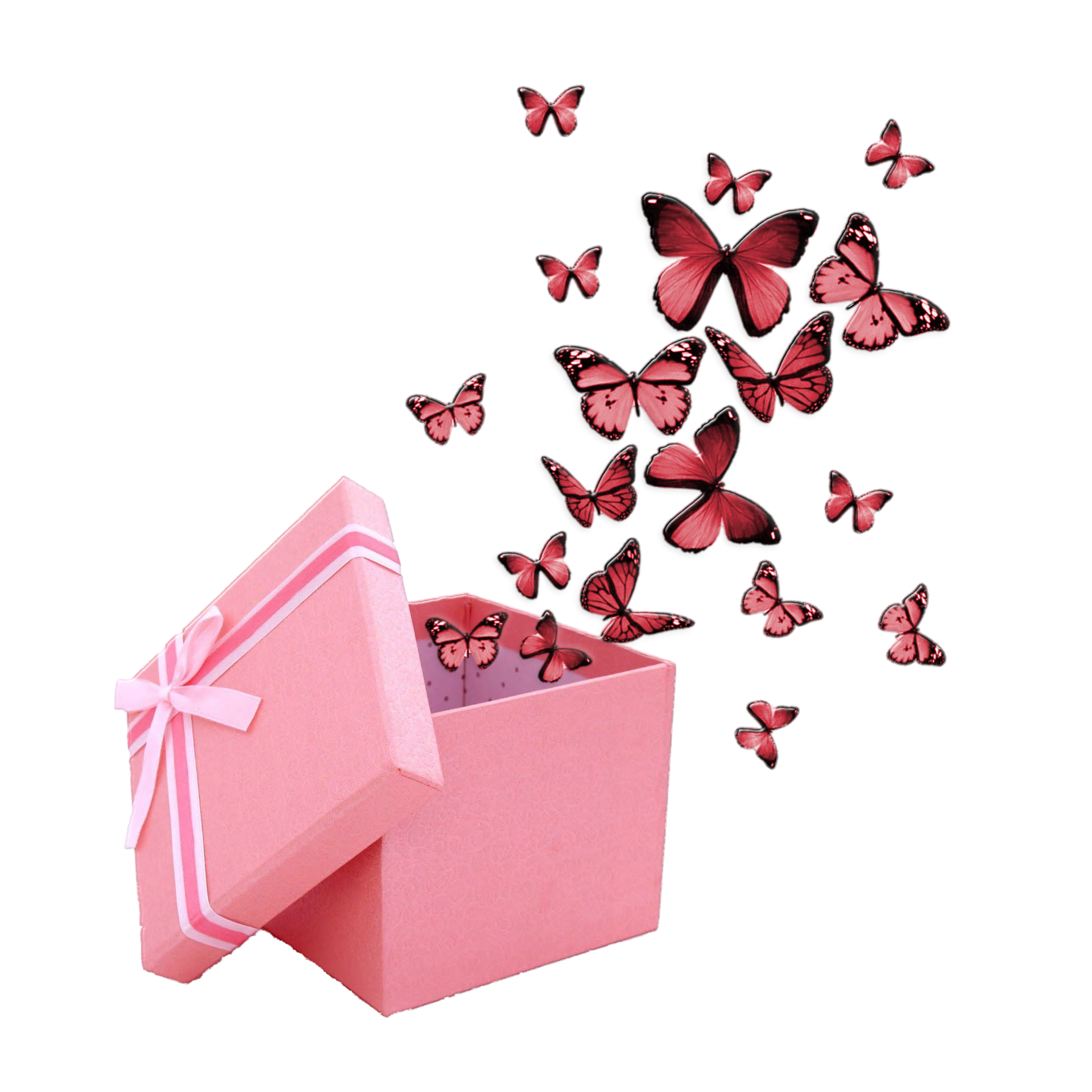 Dárek pro Lenku na pomoc pro další Pavly a Pavly