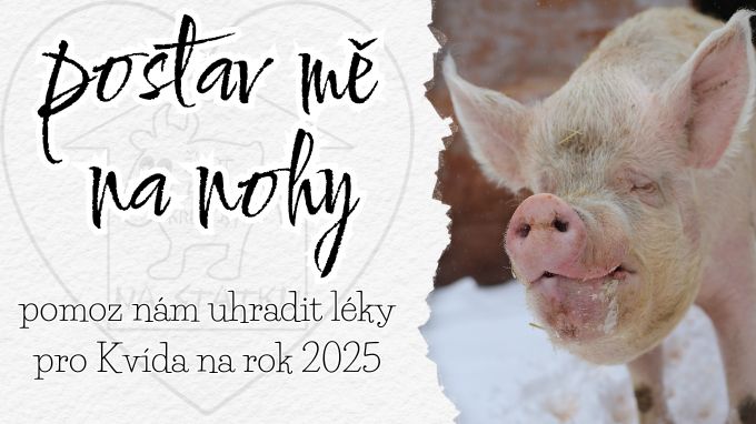 POSTAV KVÍDA NA NOHY - daruj mu léky na rok 2025